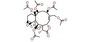16-Acetoxymilolide A